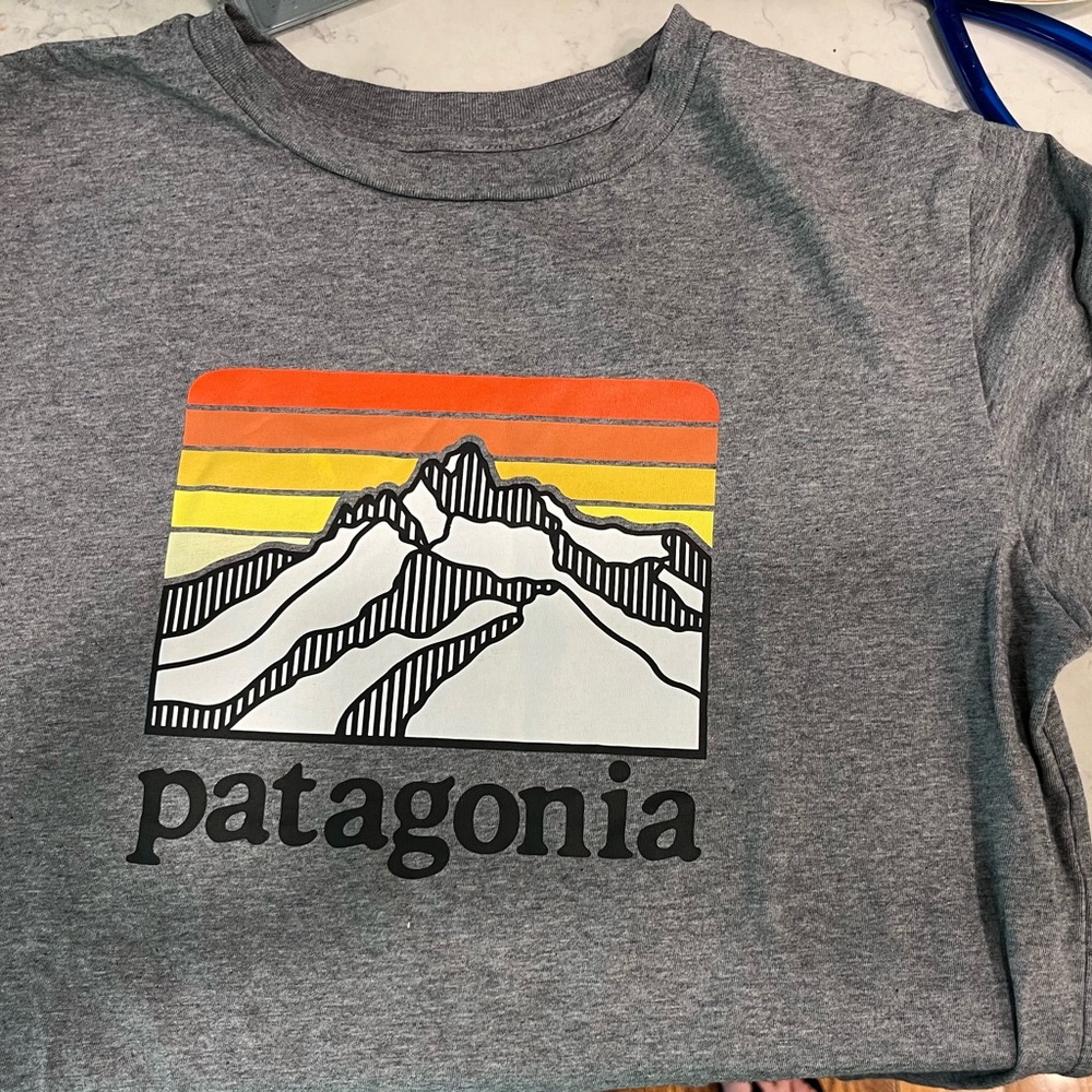 Patagonia Gray Short Sleeve Tee with Mountain Design